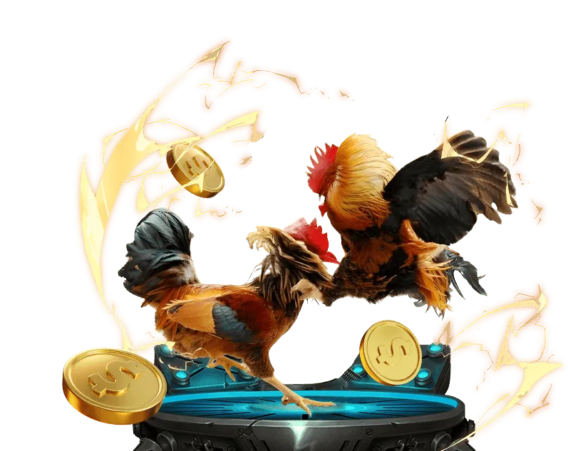 Đá gà tre trực tuyến kịch tính